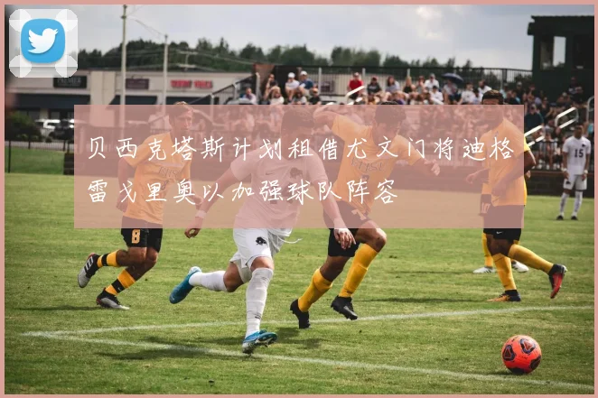 贝西克塔斯计划租借尤文门将迪格雷戈里奥以加强球队阵容