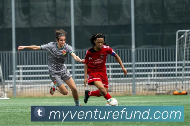 平台展示图
